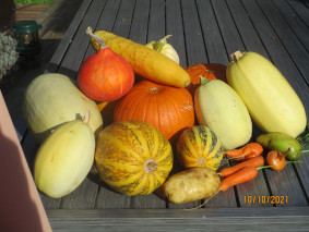 Plan du potager vue de dessus